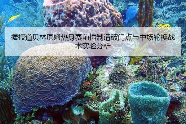 据报道贝林厄姆热身赛前插制造破门点与中场轮换战术实验分析
